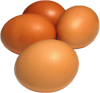 Harga Telur Ayam Ras Hari Ini